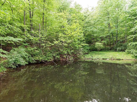 4th image of 540 Rock Creek Ln