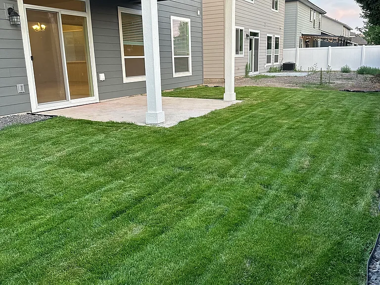 Backyard. Fully landscaped.