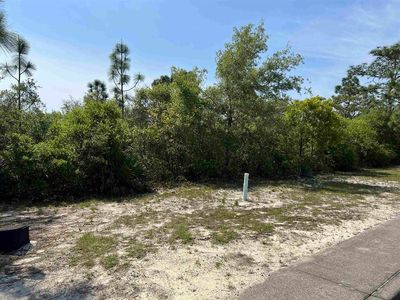 146 Anhinga Trl, Carrabelle, FL, 32322
