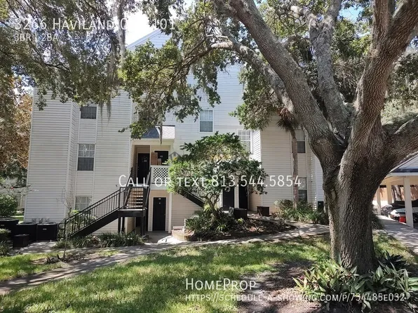 3266 Haviland Ct APT 101, Palm Harbor, FL 34684