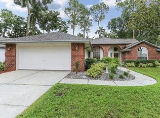 3606 Springville Dr, Valrico, FL 33596