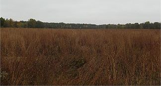 1st image of 6128 E County Road 38