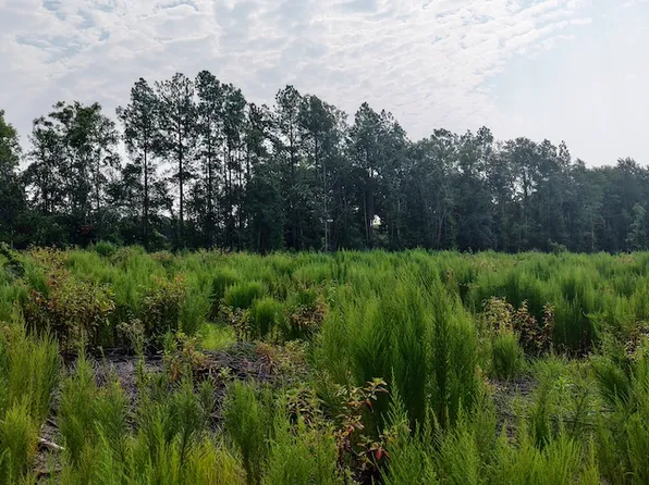 0 Scott St Lot Wp008, Saint Matthews, SC 29135
