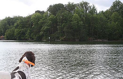 Lot view from across cove