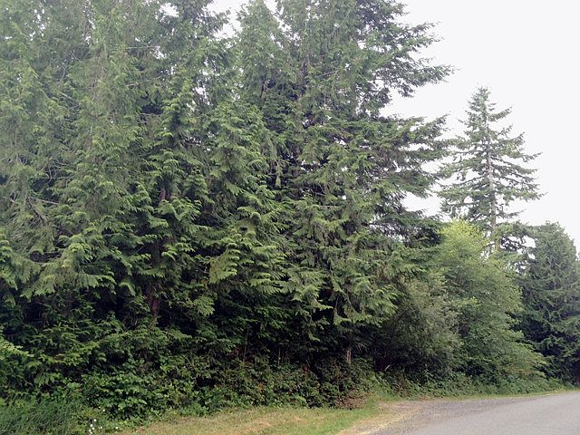 1st image of 3049 90th Ave NW