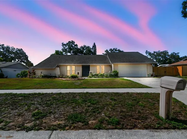 1111 Lakemont Dr, Valrico, FL 33594