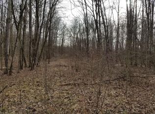 Bristol Champion Townline Rd NW, Warren, OH 44481