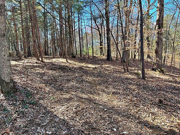 5th image of 5 Oak Grove Rd Lot 5