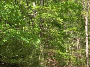 Vineyard Rd, Hayesville, NC 28904