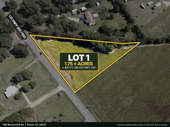 TBD Highway 301 Lot 1, Hamer, SC 29547