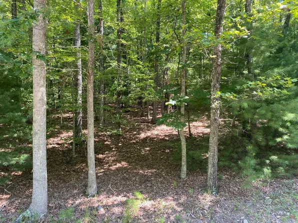 Timber Ridge Rd, Blairsville, GA 30512