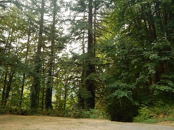 Circle driveway from right