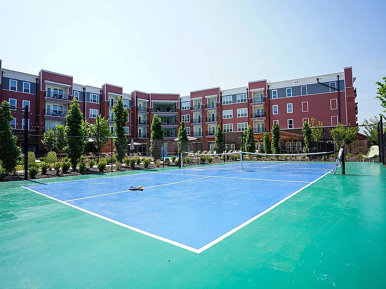 Pickleball Court
