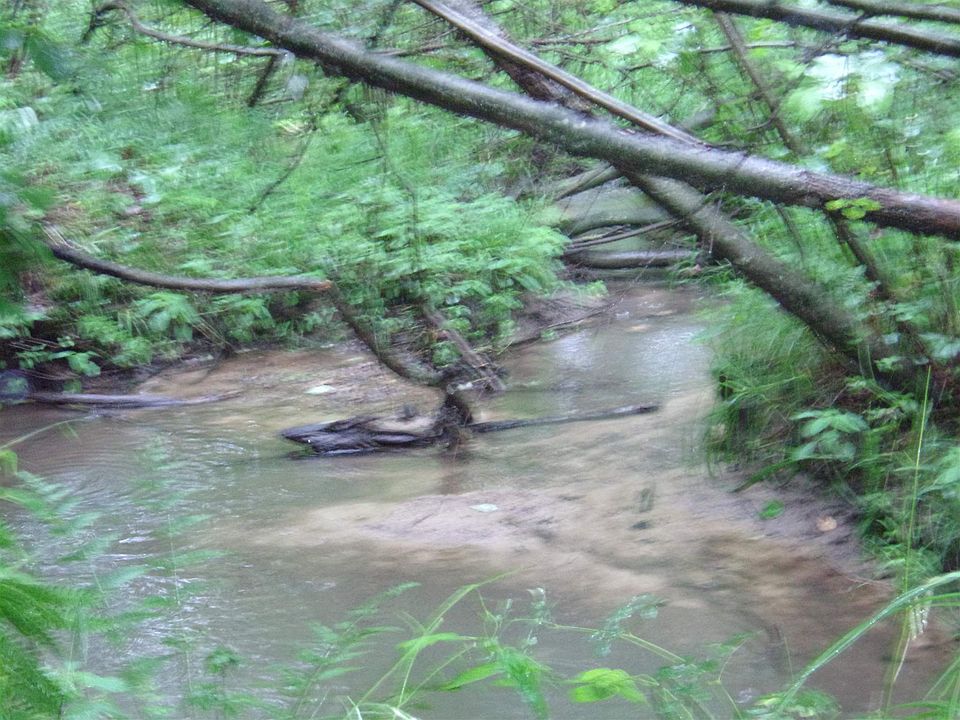 1st image of N4202 Sterling Ave