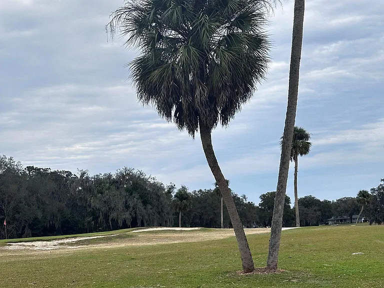 1225 N Timucuan Trl — Photo 18