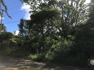 Road 1, Mountain View, HI 96771