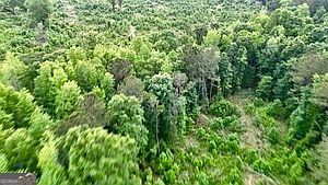 4th image of 0 Camak School Rd