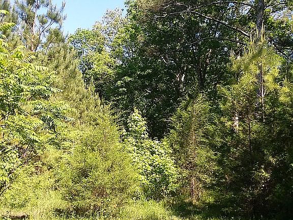 IMAGE_3
