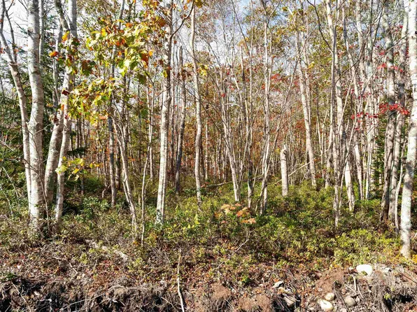 Morton Dr #61, Queens, NS B0T 1K0