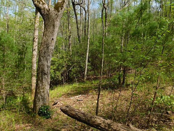 5th image of Hidden Springs Dr