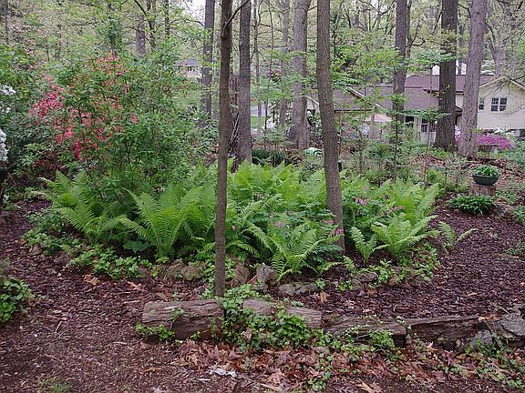 3rd image of 7604 Dew Wood Dr