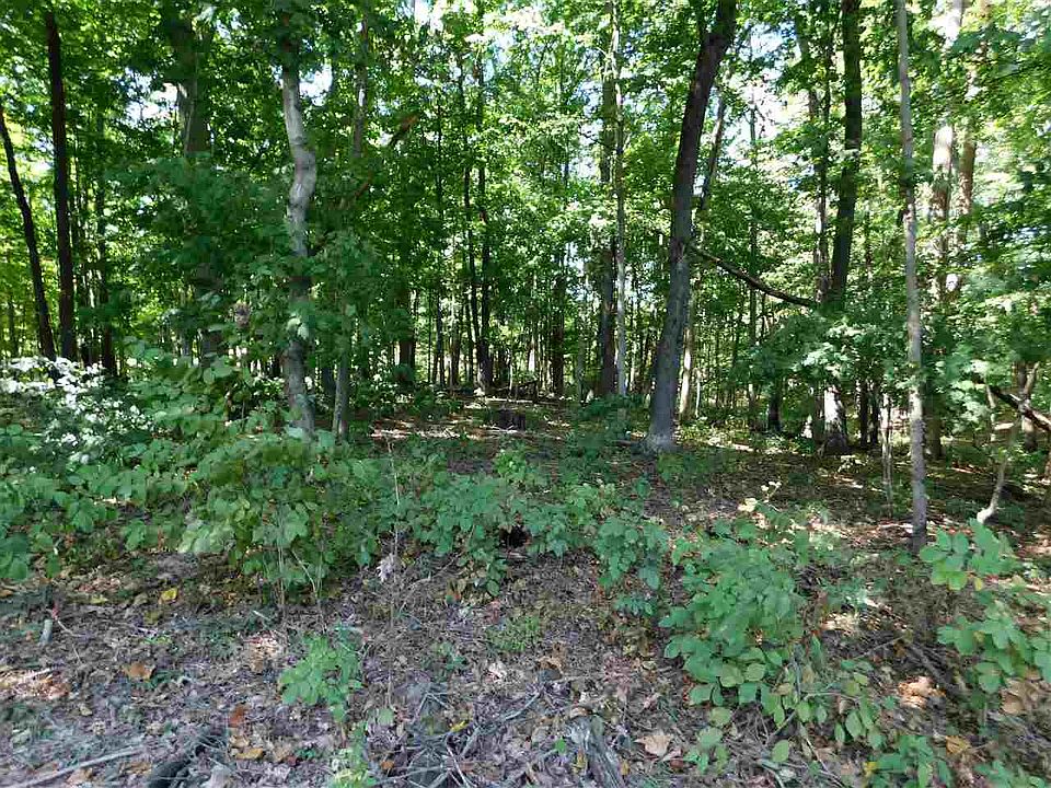 2nd image of N Lake In The Woods Dr