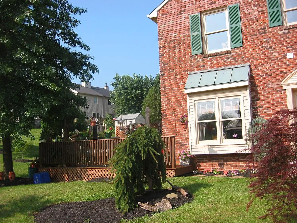 3 bed, 2.5 bath, 1684 sqft, $2,700 — Photo 2