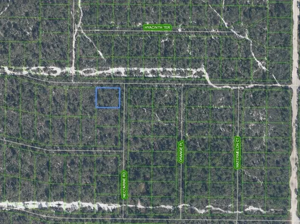 1307 Hyacinth Ave, Sebring, FL 33875