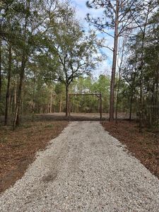 NE 127th Ct Lot 8, Williston, FL, 32696