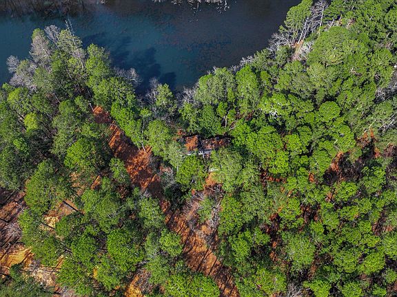 3rd image of 42 Old Lawson Rd