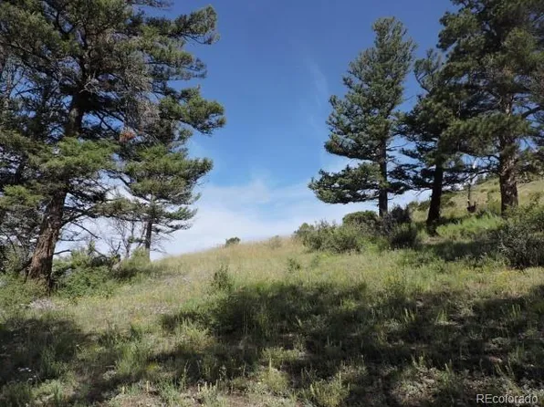 5803 Tagge Road LOT 5803, Fort Garland, CO 81133