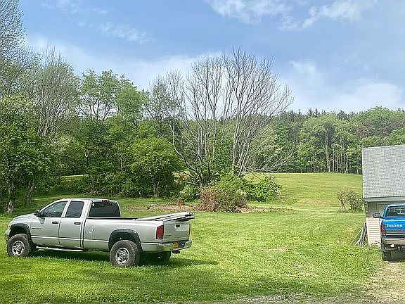 View from midpoint of backya