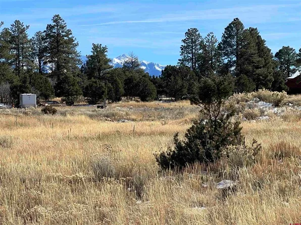 Lot 328 Bear Cub Drive, Ridgway, CO 81432