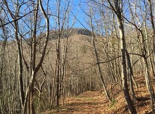 1163 Burgess Rd, Mill Spring, NC 28756