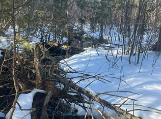 0 Spikehorn Trl, Indian River, MI 49749