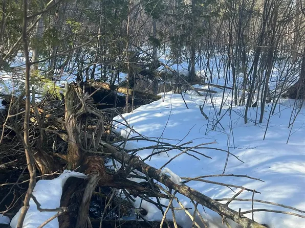 0 Spikehorn Trl, Indian River, MI 49749