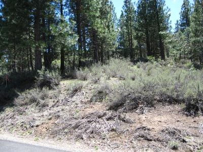 1249 Great Spirit #16, Clio, CA, 96106