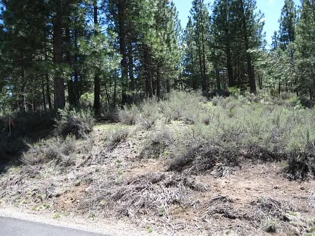 1249 Great Spirit #16 photo 1