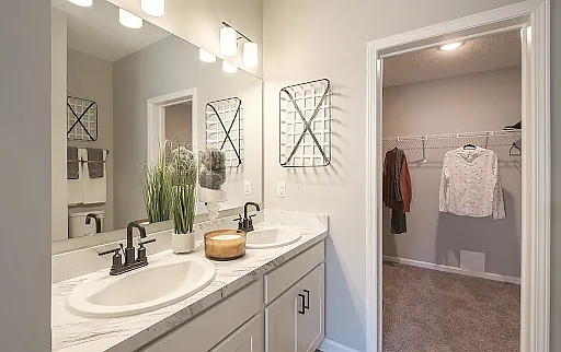 Master bathroom with walk-in closet