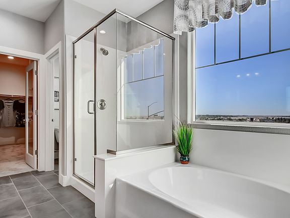 Relaxing owner s bath