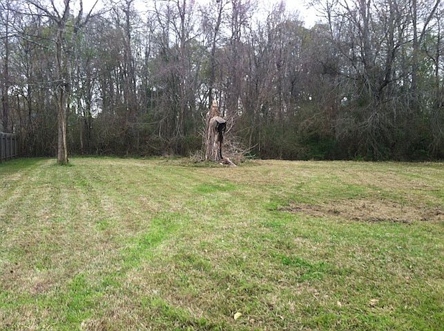 Rear view of Property