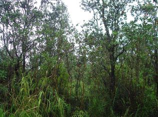 37th Ave LOT 72, Keaau, HI 96749