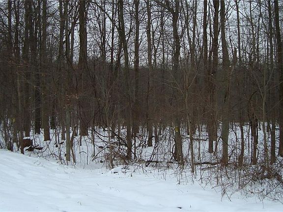 4th image of 13875 Montclair Dr