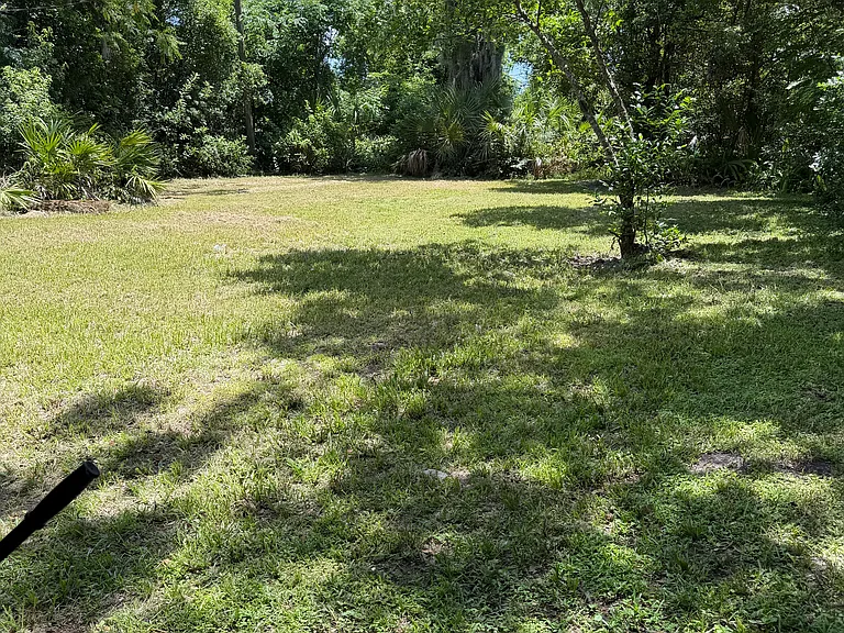 back yard