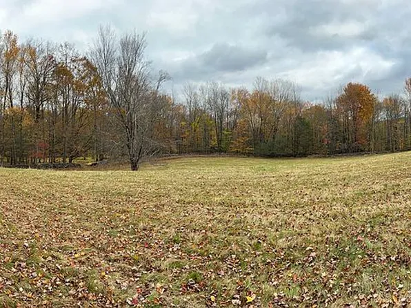 0 Forest Rd, Woodridge, NY 12789