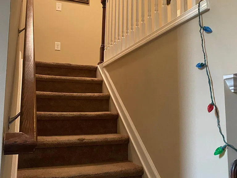425 Chanson Dr — Photo 24