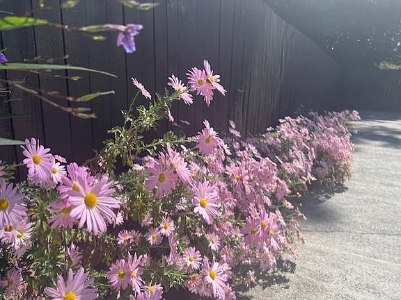 4th image of 54 Church Rd SE