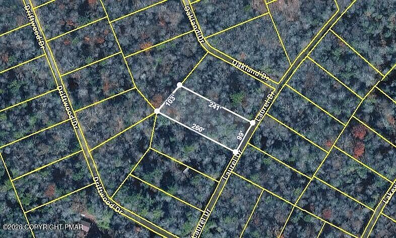 2nd image of C531 Treetop Ln