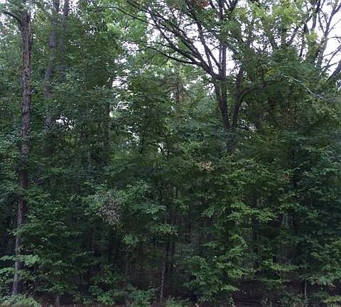 2nd image of LOT 12 Fm 19