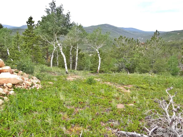 1601 Osage Trl, Red Feather Lakes, CO 80545